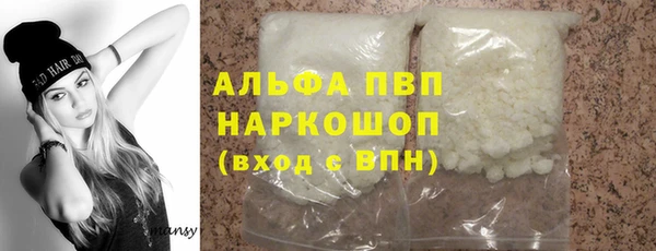 хмурый Няндома
