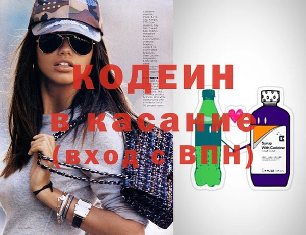 хмурый Няндома