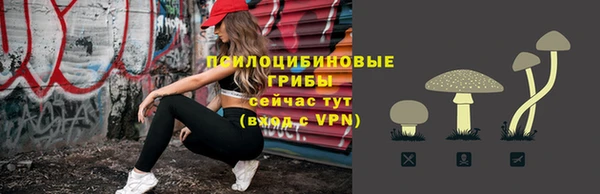 хмурый Няндома