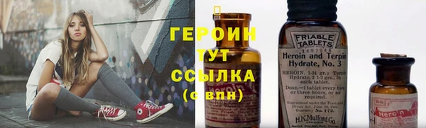 хмурый Няндома
