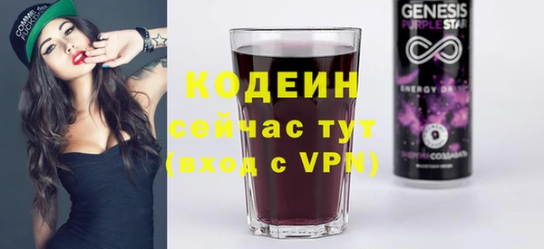 хмурый Няндома