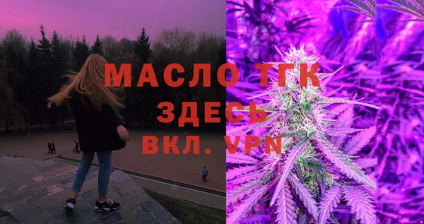 хмурый Няндома