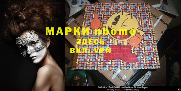 хмурый Няндома
