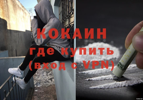 хмурый Няндома