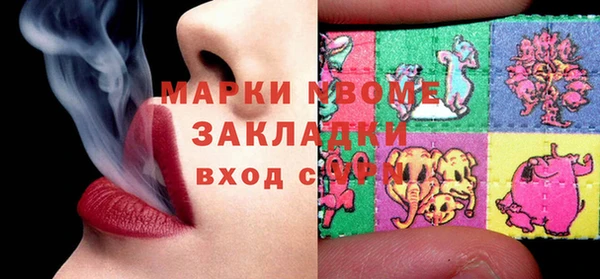 хмурый Няндома