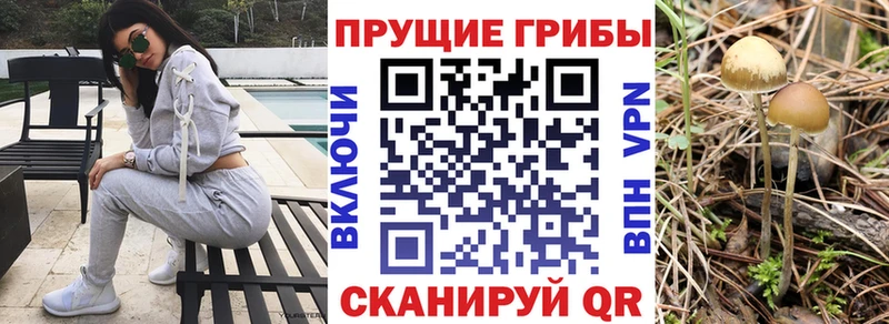 Псилоцибиновые грибы MAGIC MUSHROOMS MEGA сайт Балаково где продают наркотики