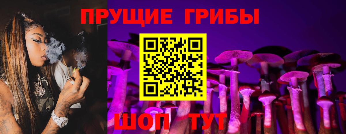 Галлюциногенные грибы Psilocybe Балаково